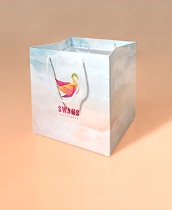 کد B6 : ساک دستی - سایز 18*20*20